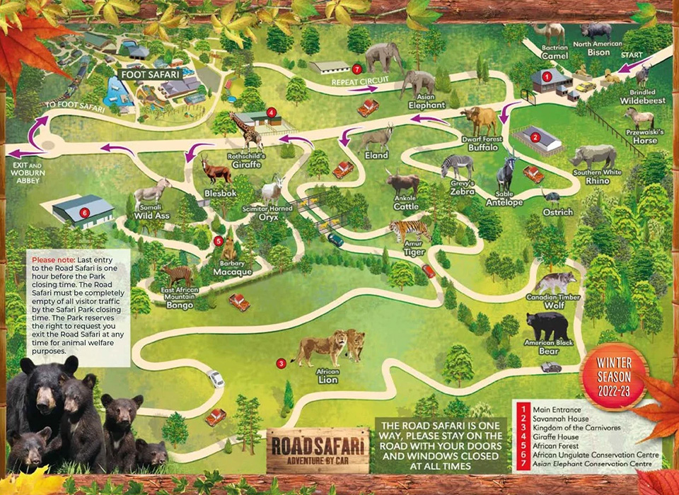 woburn safari park or whipsnade