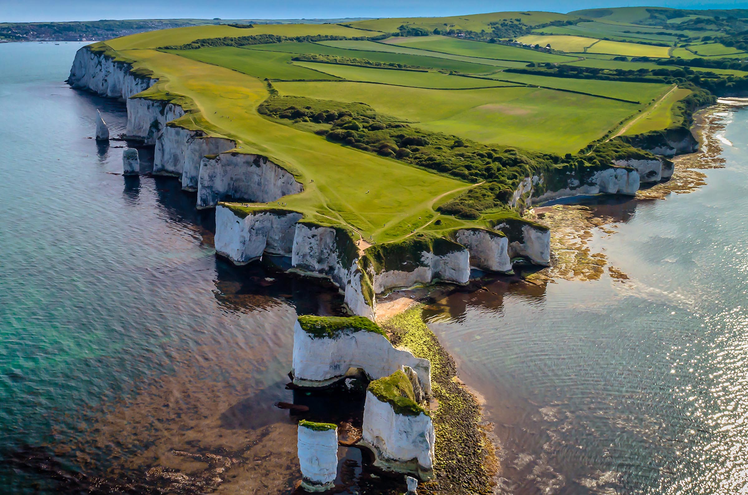 Unveiling The Ancient History Of The Jurassic Coast - vrogue.co