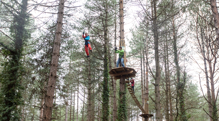 Go Ape | Moors Valley | The Tourist Trail