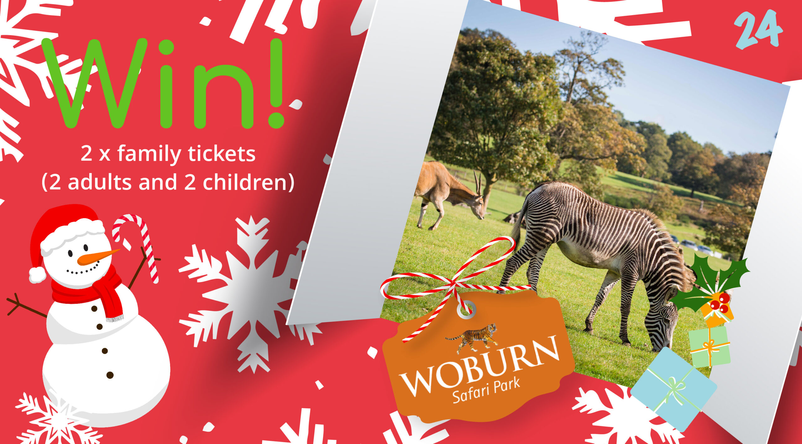 woburn safari family ticket